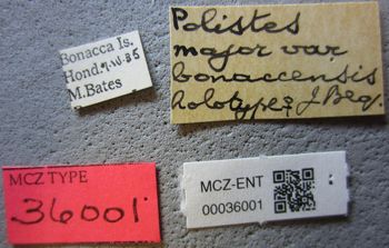 Media type: image;   Entomology 36001 Aspect: labels